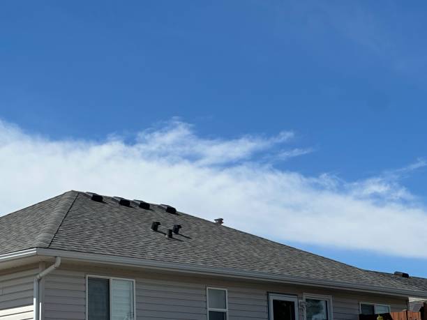 Best Storm Damage Roof Repair  in New Baden, IL